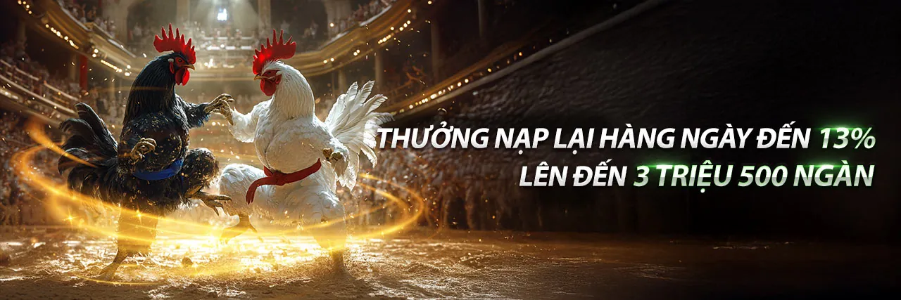 Giao diện cá cược trực tuyến ACB888